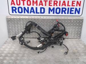 Gebruikte Kabelboom Ford Fiesta 6 (JA8) 1.0 EcoBoost 12V 100 Prijs € 150,00 Margeregeling aangeboden door Automaterialen Ronald Morien B.V.