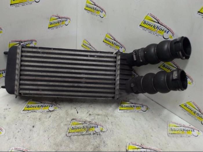 Gebruikte Intercooler Peugeot Expert (G9) 1.6 HDi 90 Prijs € 52,50 Margeregeling aangeboden door Binckhorst BV