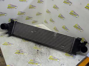 Gebruikte Intercooler Landrover Freelander II 2.2 td4 16V Prijs € 103,95 Margeregeling aangeboden door Binckhorst BV