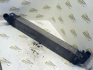 Gebruikte Intercooler Dacia Duster (HS) 1.5 dCi Prijs € 52,50 Margeregeling aangeboden door Binckhorst BV
