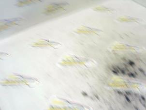 Gebruikte Motorkap Slotmechaniek Renault Grand Scénic III (JZ) 2.0 16V CVT Prijs € 21,00 Margeregeling aangeboden door Binckhorst BV