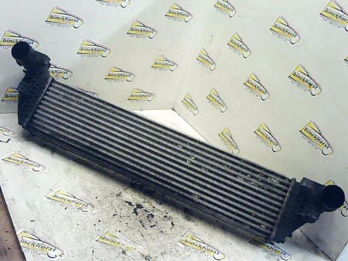 Gebruikte Intercooler Renault Espace (JK) 2.0 dCi 16V 150 FAP Prijs € 36,75 Margeregeling aangeboden door Binckhorst BV