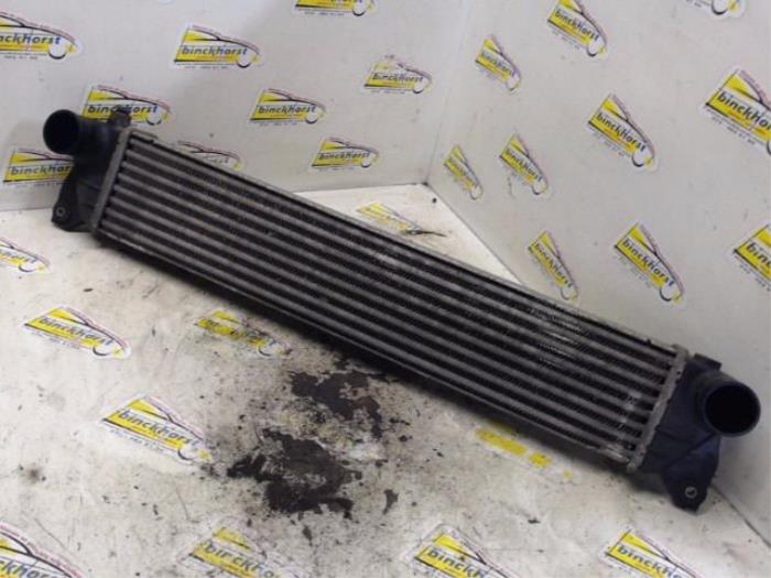 Gebruikte Intercooler Suzuki SX4 (EY/GY) 1.9 DDiS Grip 4x4 Prijs € 52,50 Margeregeling aangeboden door Binckhorst BV