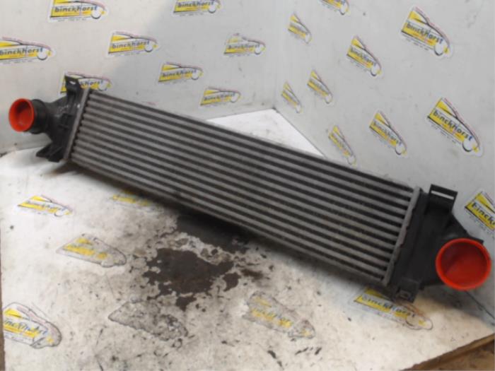 Gebruikte Intercooler Landrover Freelander II 2.2 td4 16V Prijs € 78,75 Margeregeling aangeboden door Binckhorst BV