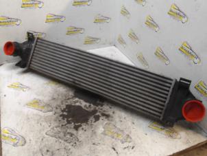 Gebruikte Intercooler Landrover Freelander II 2.2 td4 16V Prijs € 78,75 Margeregeling aangeboden door Binckhorst BV
