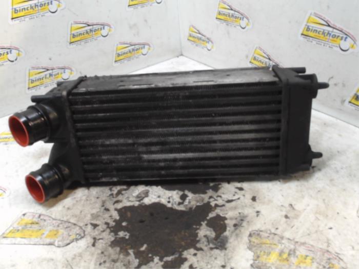 Gebruikte Intercooler Peugeot 308 SW (4E/H) 1.6 HDi 16V Prijs € 26,25 Margeregeling aangeboden door Binckhorst BV