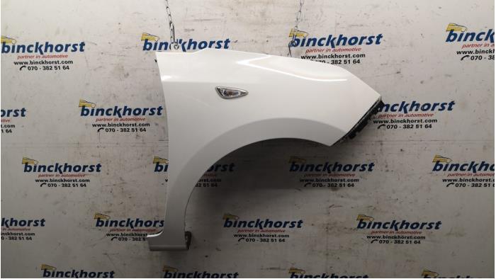Scherm rechts-voor Hyundai I10