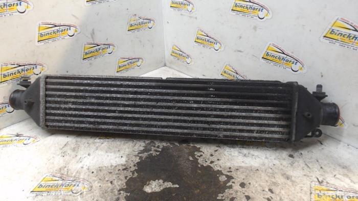 Gebruikte Intercooler Fiat Doblo Cargo (263) 1.6 D Multijet Prijs € 26,25 Margeregeling aangeboden door Binckhorst BV