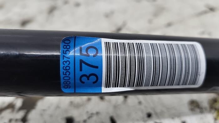 Stabilisatorstang achter van een Peugeot Expert (V1/VA/VB/VE/VF/VT/VY) e-Expert 2023