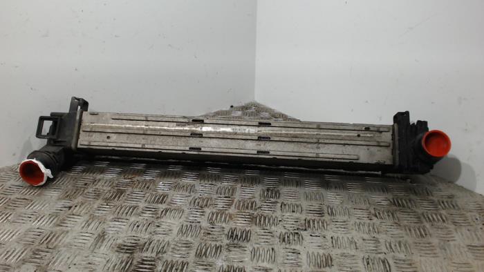 Gebruikte Intercooler Renault Megane III Berline (BZ) 1.4 16V TCe 130 Prijs € 31,50 Margeregeling aangeboden door Binckhorst BV