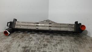 Gebruikte Intercooler Renault Megane III Berline (BZ) 1.4 16V TCe 130 Prijs € 31,50 Margeregeling aangeboden door Binckhorst BV