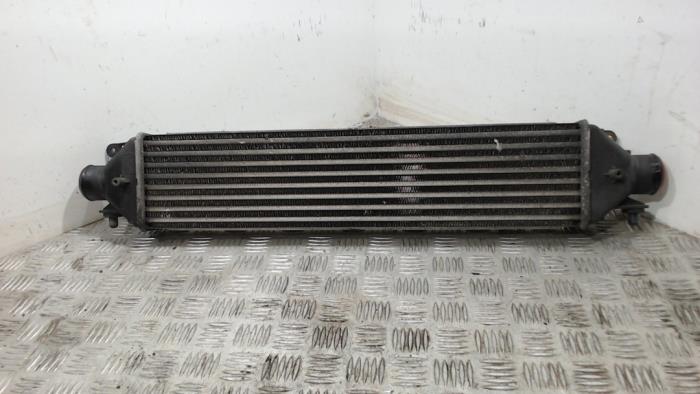 Gebruikte Intercooler Opel Combo 1.3 CDTI 16V ecoFlex Prijs € 36,75 Margeregeling aangeboden door Binckhorst BV