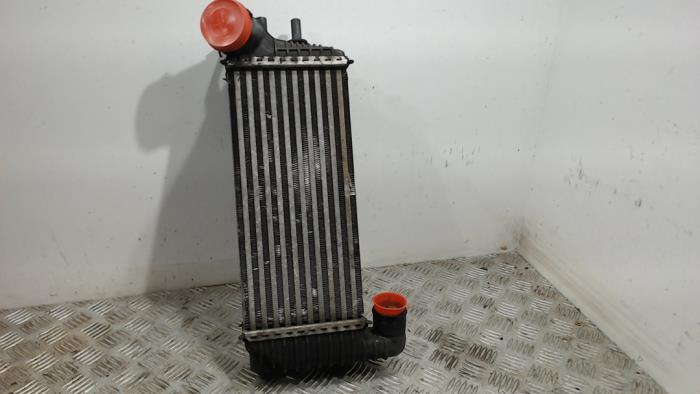Gebruikte Intercooler Ford Transit Connect (PJ2) 1.6 TDCi 16V 95 Prijs € 31,50 Margeregeling aangeboden door Binckhorst BV