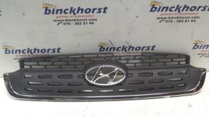 Nieuwe Grille Hyundai Atos Prijs € 31,76 Inclusief btw aangeboden door Binckhorst BV