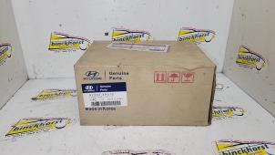 Nieuwe Pinker rechts Hyundai Trajet Prijs € 33,35 Inclusief btw aangeboden door Binckhorst BV