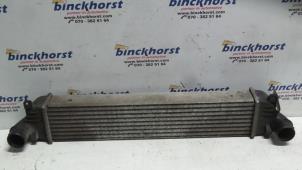 Gebruikte Intercooler Lancia Thesis (841) 2.4 JTD 20V Prijs € 52,50 Margeregeling aangeboden door Binckhorst BV