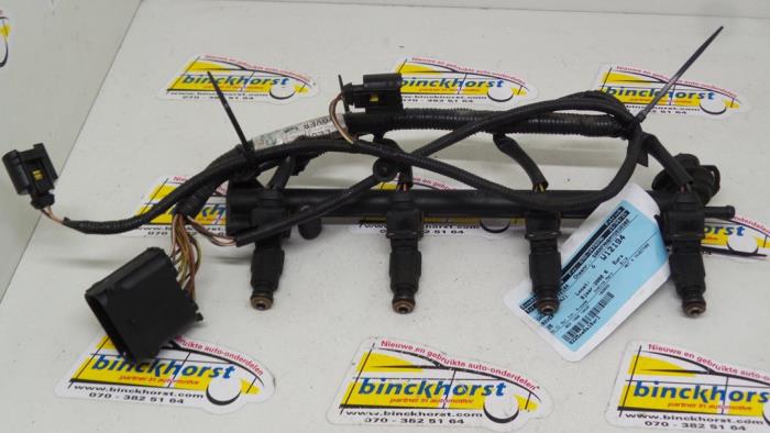 Gebruikte Galerij (Injectie) Rover 25 1.4 16V Prijs € 105,00 Margeregeling aangeboden door Binckhorst BV