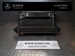 Gebruikte Intercooler Mercedes B (W245) 2.0 B-200 16V Turbo Prijs op aanvraag aangeboden door kaslo auto parts