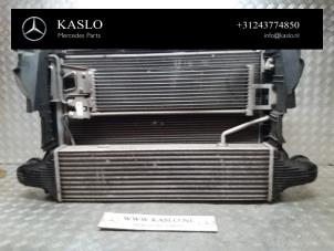 Gebruikte Radiateur Mercedes E (R207) E-220 CDI 16V BlueTEC Prijs € 100,00 Margeregeling aangeboden door kaslo auto parts