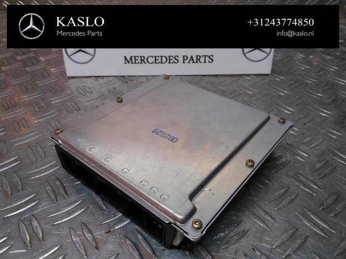Gebruikte Computer Motormanagement Mercedes S (W220) 3.2 S-320 CDI 24V Prijs € 100,00 Margeregeling aangeboden door kaslo auto parts