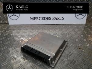 Gebruikte Computer Motormanagement Mercedes S (W220) 5.0 S-500 V8 24V Prijs € 100,00 Margeregeling aangeboden door kaslo auto parts
