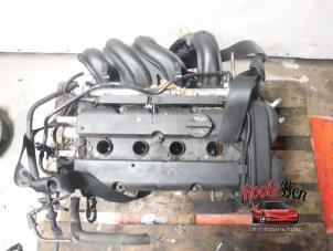 Gebruikte Motor Ford Focus 2 1.6 16V Prijs € 375,00 Margeregeling aangeboden door Rooie Ben autodemontage