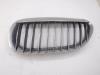 BMW 6 serie (E64) 650 i 4.8 V8 32V Grille