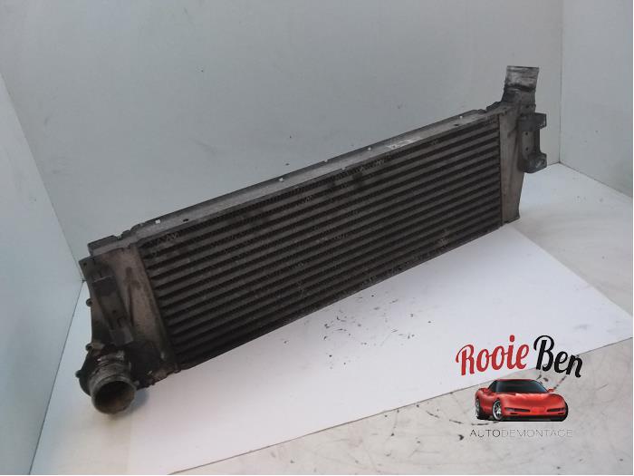 Gebruikte Intercooler Renault Megane II (BM/CM) 1.5 dCi 100 Prijs € 50,00 Margeregeling aangeboden door Rooie Ben autodemontage