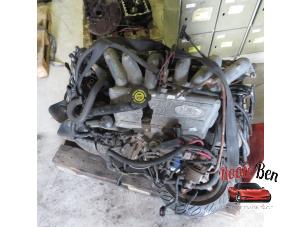 Gebruikte Motor Ford Usa E-Serie 4.9 E250 Kat. Prijs op aanvraag aangeboden door Rooie Ben autodemontage