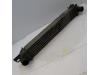 Intercooler van een Peugeot Bipper (AA), 2008 1.4 HDi, Bestel, Diesel, 1.398cc, 50kW (68pk), FWD, DV4TED; 8HS, 2008-02, AA8HSC; AA8HSL 2010