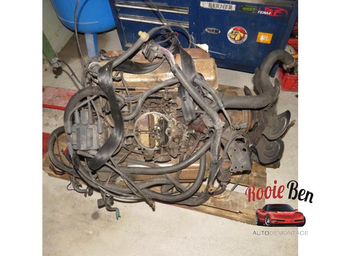 Gebruikte Motor Pontiac Firebird 5.0 Trans Am Prijs € 800,00 Margeregeling aangeboden door Rooie Ben autodemontage