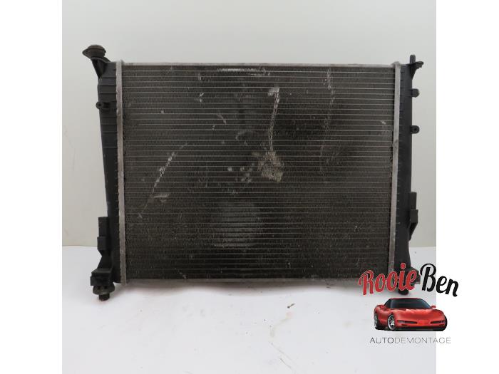 Gebruikte Radiateur Renault Twingo II (CN) 1.2 Prijs € 50,00 Margeregeling aangeboden door Rooie Ben autodemontage