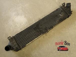 Gebruikte Intercooler Ford S-Max (GBW) 2.0 TDCi 16V 130 Prijs € 75,00 Margeregeling aangeboden door Rooie Ben autodemontage