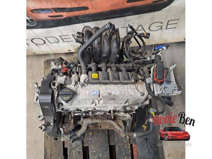 Gebruikte Motor Ford Ka II 1.2 Prijs € 300,00 Margeregeling aangeboden door Rooie Ben autodemontage