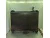 Suzuki Grand Vitara II (JT) 2.0 16V Radiateur