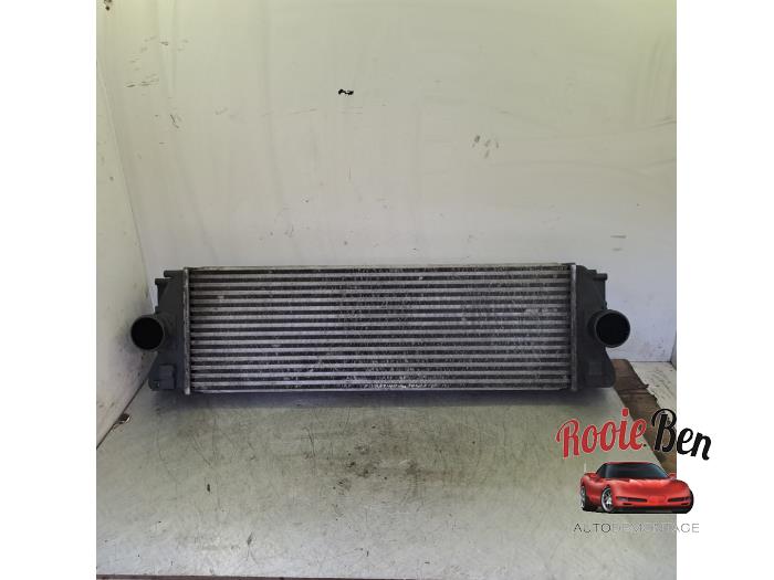 Gebruikte Intercooler Mercedes Sprinter 3t (906.61) 209 CDI 16V Prijs € 50,00 Margeregeling aangeboden door Rooie Ben autodemontage