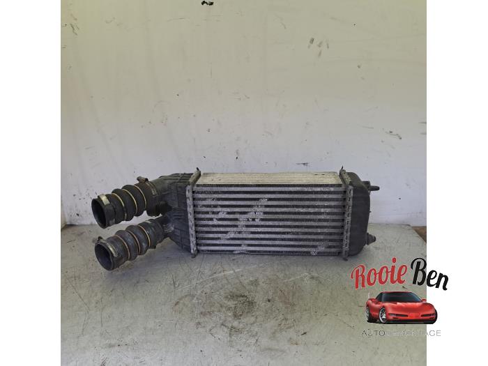 Gebruikte Intercooler Citroen DS3 (SA) 1.6 e-HDi Prijs € 25,00 Margeregeling aangeboden door Rooie Ben autodemontage