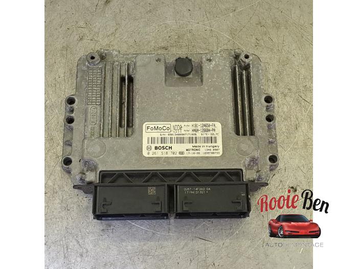 Gebruikte Computer Motormanagement Ford Fiesta 7 1.0 EcoBoost 12V 100 Prijs € 100,00 Margeregeling aangeboden door Rooie Ben autodemontage