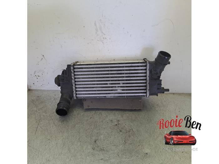 Gebruikte Intercooler Ford Fiesta 7 1.0 EcoBoost 12V Prijs € 40,00 Margeregeling aangeboden door Rooie Ben autodemontage