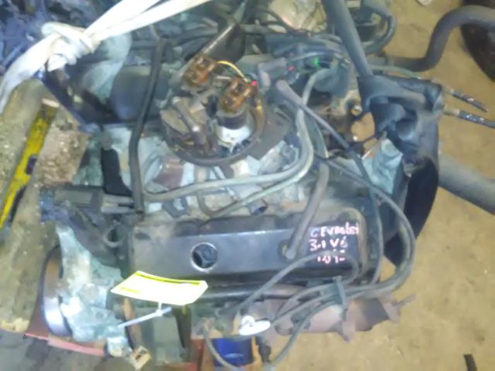 Gebruikte Motor Chevrolet Lumina 3.1 Prijs € 600,00 Margeregeling aangeboden door Rooie Ben autodemontage