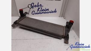 Gebruikte Intercooler Ford Ranger Prijs € 275,00 Margeregeling aangeboden door Klein Gunnewiek Autodemontage & Motorentechniek