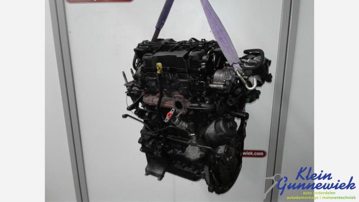 Gebruikte Motor Ford Focus Prijs € 470,00 Margeregeling aangeboden door Klein Gunnewiek Autodemontage & Motorentechniek