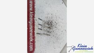 Gebruikte Gloeikaars Ford Focus Prijs € 40,00 Margeregeling aangeboden door Klein Gunnewiek Autodemontage & Motorentechniek