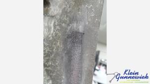 Gebruikte Differentieel achter Audi A4 Prijs € 790,00 Margeregeling aangeboden door Klein Gunnewiek Autodemontage & Motorentechniek