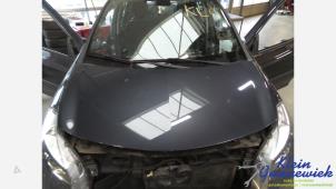 Gebruikte Motorkap Renault Clio Prijs € 40,00 Margeregeling aangeboden door Klein Gunnewiek Autodemontage & Motorentechniek