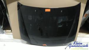 Gebruikte Motorkap Ford Fiesta Prijs € 45,00 Margeregeling aangeboden door Klein Gunnewiek Autodemontage & Motorentechniek