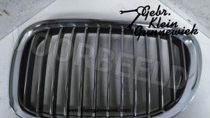 Gebruikte Grille BMW 7-Serie Prijs € 35,00 Margeregeling aangeboden door Gebr.Klein Gunnewiek Ho.BV