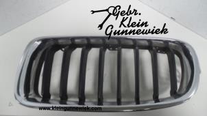 Gebruikte Grille BMW 3-Serie Prijs € 25,00 Margeregeling aangeboden door Gebr.Klein Gunnewiek Ho.BV