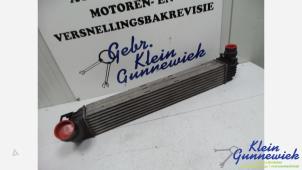 Gebruikte Intercooler Renault Megane Prijs € 65,00 Margeregeling aangeboden door Klein Gunnewiek Autodemontage & Motorentechniek