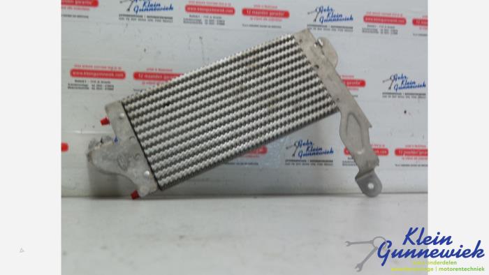 Gebruikte Brandstofkoeler Ford Transit Custom Prijs € 35,00 Margeregeling aangeboden door Klein Gunnewiek Autodemontage & Motorentechniek
